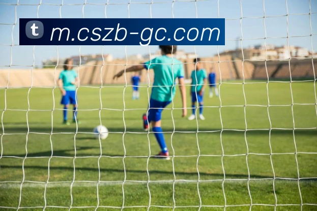 彩神争霸平台生态图